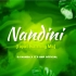 Nandini(Tapori Humming Mix) DJNanda X It's Smp Official
