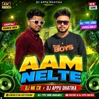 Aam Nelte (Santali Dance Mix) Dj Appu Dj Nkcr