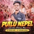 Puilu Nepel(Vibration Dabung Mix)dj Rajen Bro X Dj Krishna Remix