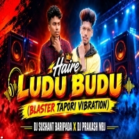 Haire Ludu Budu (Blaster Tapori Vibration) Dj Sushant Baripada X Dj Prakash Mbj