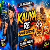 Kaliya Re (Vibration Style Cheakk) Dj Muna Marudhi