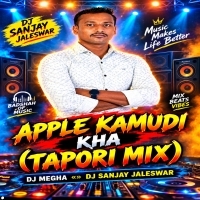 Apple Kamudi Kha (Tapori Mix) Dj Megha  Dj Sanjay Jaleswar