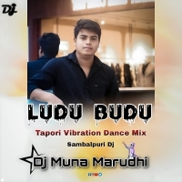 Ludu Budu (Tapori Dance Mix) DJ Muna Marudhi (OdishaRemix.Com)