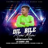 Dil Bilei Meow Meow (Tapori dance mix) Dj Kanha Krx (OdishaRemix.Com)