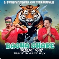 BAGHA GHARE MIRIGA NATA(TROOT X HORROR COMPITITION DANCE MIX)DJ KIRAN X DJ TUFAN MAYURBHANJ SE (OdishaRemix.Com)