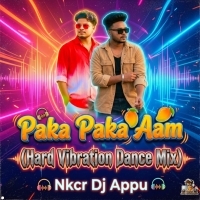 Paka Paka Aam (Hard Vibration Dance Mix) Dj Nkcr Dj Appu
