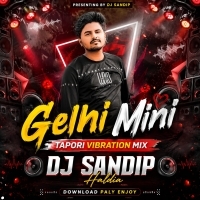 Gelhi Mini (Tapori Vibration Mix) Dj Sandip Haldia