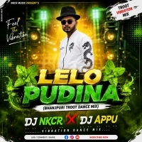 Lelo Pudina (Bhanjpuri Troot Dance Mix) Dj Nkcr Dj Appu