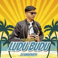 LUDU BUDU ( EDM x TAPORI ) DJ AMARNATH