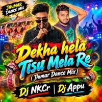 Dekha hela Tisu Mela Re (Jhumar Dance Mix) Dj NKCr Dj Appu