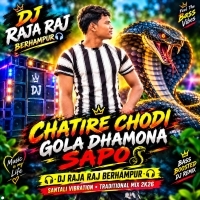 Chatire Codhigola Dhamona Sapo(Traditional Dance Mix)dj Raja Raj Berhampur